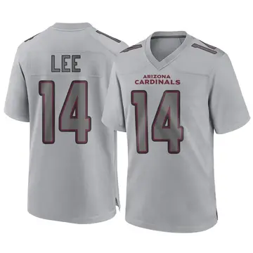 Youth Nike Arizona Cardinals Andy Lee Gray Atmosphere Fashion Jersey - Game